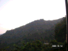 s_pict0031_thumb.png